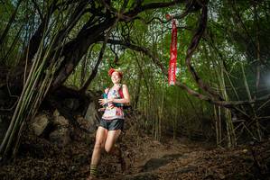 BIB: 
                            <button type="button" onclick="openModal(22177600)" class="btn btn-primary btn-sm float-right btn-popup" data-toggle="modal" data-target=".modal-high-quality">
                        <i class="fas fa-shopping-cart"></i> Add to Cart
                    </button>
                                            <button type="button" onclick="isThisMe(22177600, true)" class="btn btn-success btn-sm float-right btn-popup btn-isme hidden" data-toggle="tooltip" data-placement="bottom" title="นี่คือรูปของคุณใช่ไหม คลิกที่นี่เพื่อเอาเข้าอัลบั้ม">
                        <i class="fas fa-plus"></i> Add to album
                    </button>
                    <button type="button" onclick="isThisMe(22177600, false)" class="btn btn-warning btn-sm float-right btn-popup btn-isnotme hidden">
                        <i class="fas fa-ban"></i> Remove from album
                    </button>